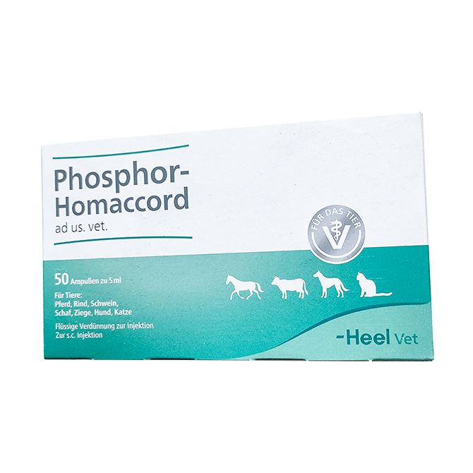 Phosphor-Homaccord